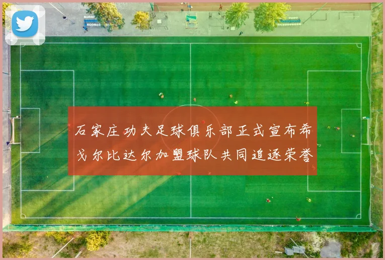 石家庄功夫足球俱乐部正式宣布希戈尔比达尔加盟球队共同追逐荣誉